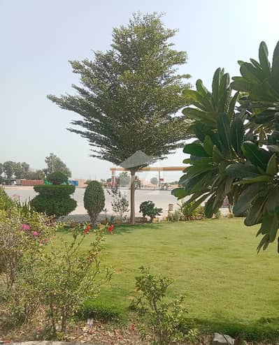 200 Sq-yd, Plot For Sale, Transfer Plot, West Open, ViP Location Scheme-33