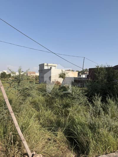 A Well Developed And Easily Approachable Plot (Price Is Negotiable)