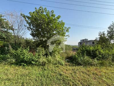 Well-Priced - A great deal considering Farm available for sale