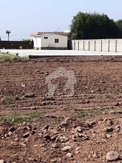 18 Kanal Land Available For Rent In Shah Allah Ditta