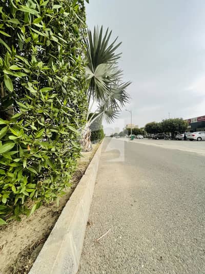 5 Marla Plot Available For Sale In C block 5 Marla Plot Available For Sale In C block