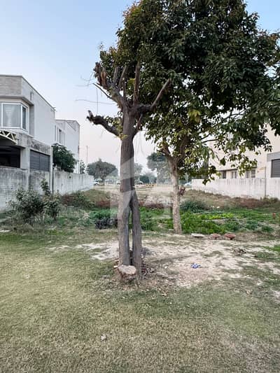 ڈی ایچ اے فیز 5 - بلاک ڈی ڈی ایچ اے فیز 5,ڈی ایچ اے ڈیفینس,لاہور میں 2 کنال رہائشی پلاٹ 15.75 کروڑ میں برائے فروخت۔ ڈی ایچ اے فیز 5 - بلاک ڈی ڈی ایچ اے فیز 5,ڈی ایچ اے ڈیفینس,لاہور میں 2 کنال رہائشی پلاٹ 15.75 کروڑ میں برائے فروخت۔