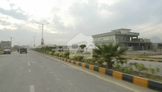 Sale A Residential Plot In B-17 Prime Location