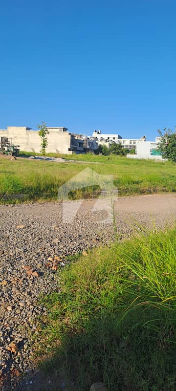 E block 4 Kanal dp good location plot at desirable price fo rsale