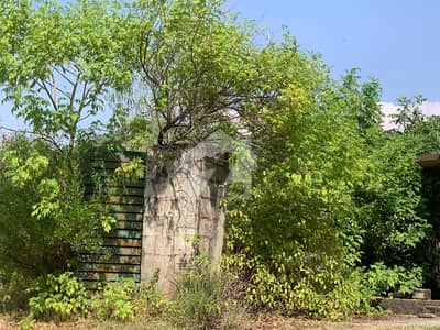 Judicial town chattar