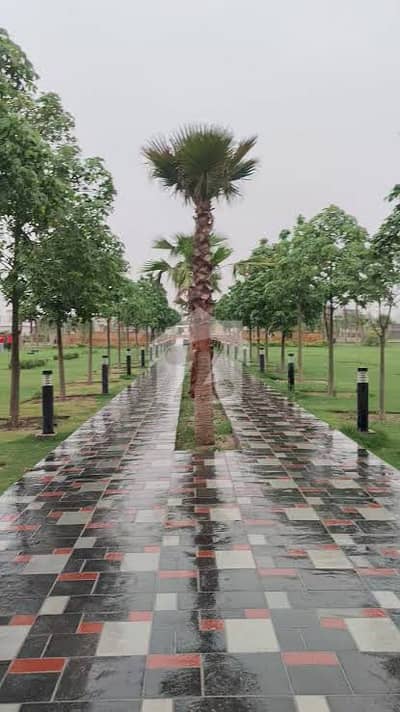 Near to Masjid LDA Avenue - Block B Residential Plot Sized 1 Kanal For sale