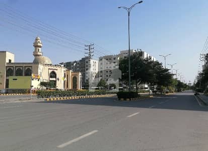 Aesthetic Flat Of 12 Marla For rent Is Available