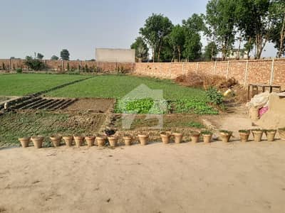 بیدیاں روڈ لاہور میں 8 کنال رہائشی پلاٹ 4.4 کروڑ میں برائے فروخت۔ بیدیاں روڈ لاہور میں 8 کنال رہائشی پلاٹ 4.4 کروڑ میں برائے فروخت۔