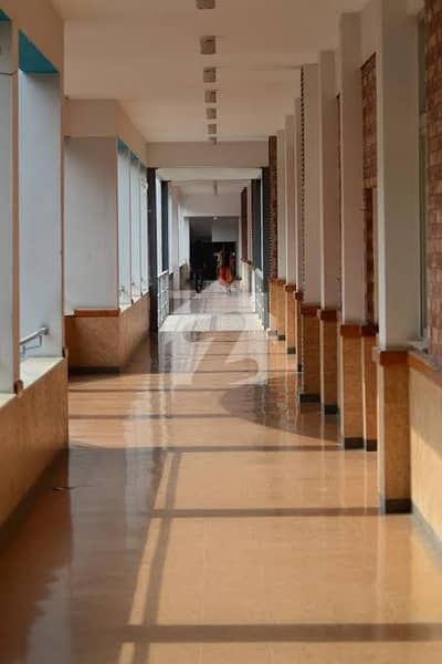 Brand New School College Building Available For Rent