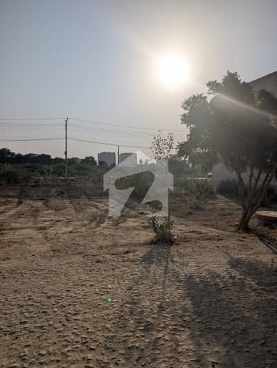 40ft Road 120sqyrd Plot For Sale In Sector Q/1