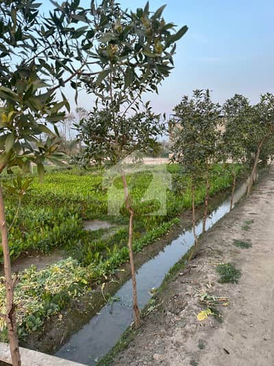 12 Kanal Land For Sale In Swiss Farms, Bedian Road Lahore