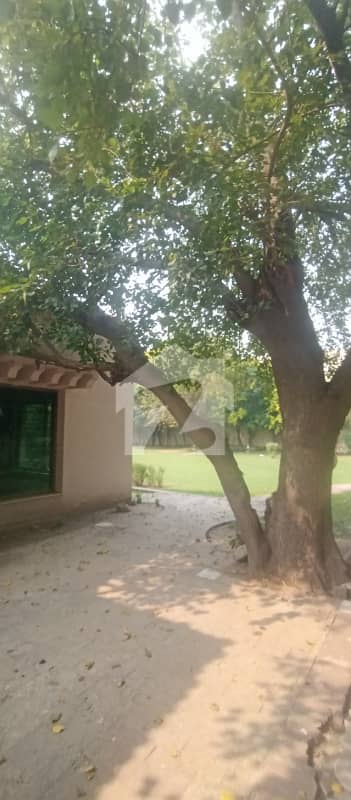 SUPER LUXURY VILLA FOR RENT SUPER LUXURY VILLA FOR RENT