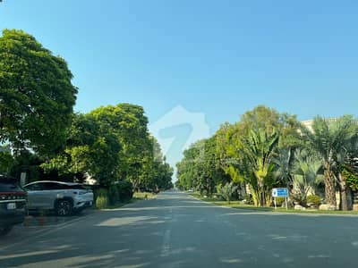 D201 Area 2 Kanal On 60ft Road Prime Location & Near Park Plot For Sale D201 Area 2 Kanal On 60ft Road Prime Location & Near Park Plot For Sale
