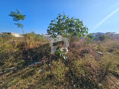 E 11 Plot For Sale
