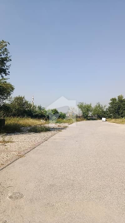 Hot Deal Residential Plot for Sale in DHA Phase 5 Islamabad Hot Deal Residential Plot for Sale in DHA Phase 5 Islamabad