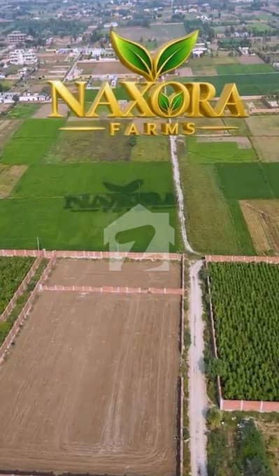 BARKI ROAD 10 KANAL FARM HOUSE PLOT