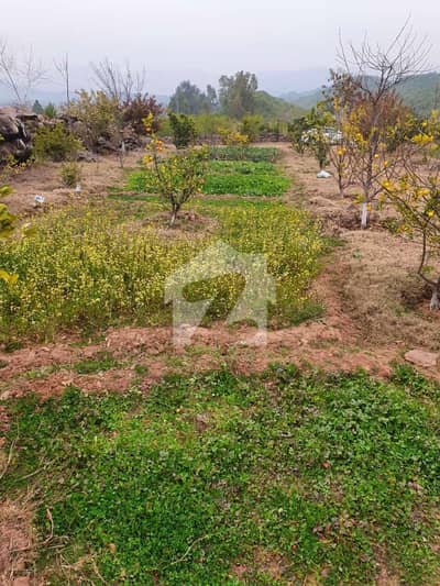 چک بیلی روڈ راولپنڈی میں 1 کنال رہائشی پلاٹ 30.0 لاکھ میں برائے فروخت۔