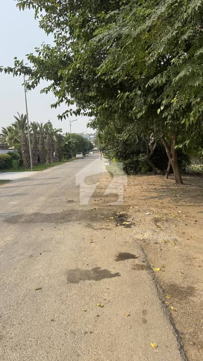 Hot Location Plot for Sale in DHA Phase 6 C Block, Lahore Prime Investment Opportunity