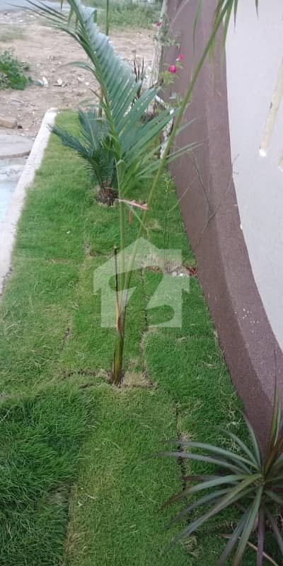 سی بی آر ٹاؤن اسلام آباد میں 5 کمروں کا 7 مرلہ مکان 3.6 کروڑ میں برائے فروخت۔ سی بی آر ٹاؤن اسلام آباد میں 5 کمروں کا 7 مرلہ مکان 3.6 کروڑ میں برائے فروخت۔