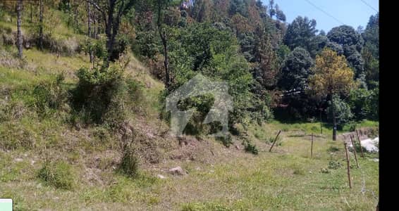 Land For Sale Patriata, New Murree