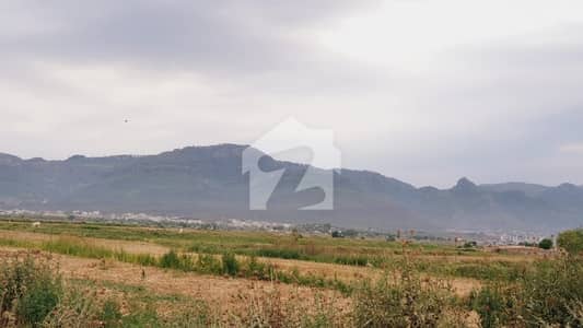 Residential Plot Of 1250 Square Feet In E-12/3 Is Available