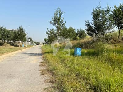 Near Possession Plot Prime Location