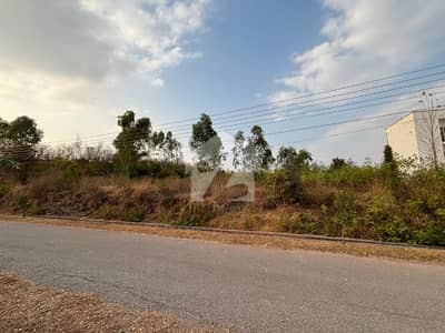 Sector - A , Main Boulevard, Corner Plot For Sale