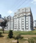 3 3