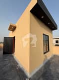 23 