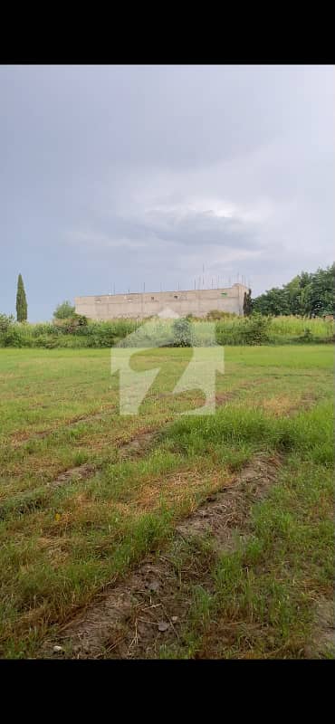 7 Kanal Premium Commercial Land Jandala Chowk Simly Dam Road