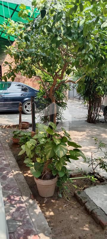 Affordable & Comfortable 1 Bedroom Lower Portion For Rent In DHA Phase 1 Lahore