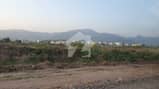 8 8