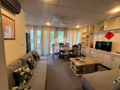 Beautiful Fully Furnished Upper Portion Almost New For Foreigners Rent Including All Utilities