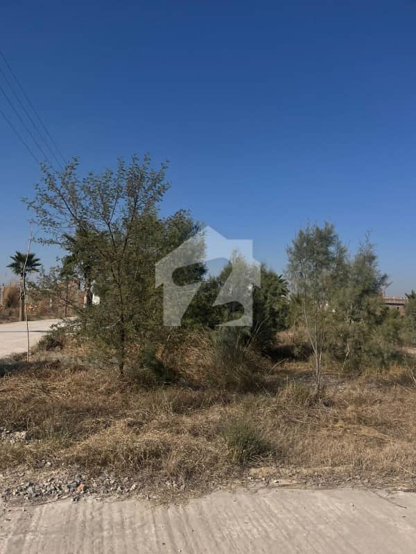 Residential Plot For Sale In Zamar Valley Islamabad Residential Plot For Sale In Zamar Valley Islamabad