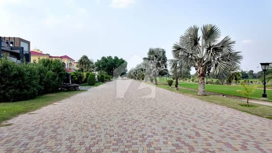 41 MARLA PLOT FOR SALE