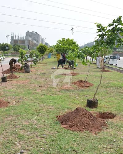 1 kanal Plot For Sale Sector M Lop approved area