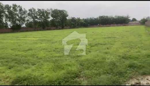 16. Kanal Corner Farm Plot Top Location