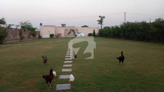 3 Kanal Farmhouse / Property for Sale on Raiwind Road | 67.5 Front | Swimming Pool | Rooms | Huge Lawn