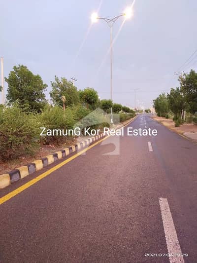 Low Price Plot | Well developed area | Sector 4C