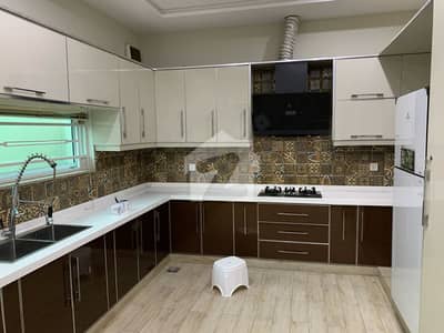 1 Kanal Brand New House For Rent In Wapda Town