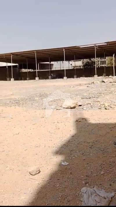 Affordable Warehouse Of 4000 Square Yards Is Available For Rent