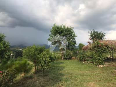 5 Kanal Non-Developed Farmhouse Plot Available For Sale In D. Block Gulberg Green Islamabad
