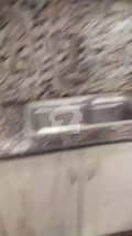 10 10