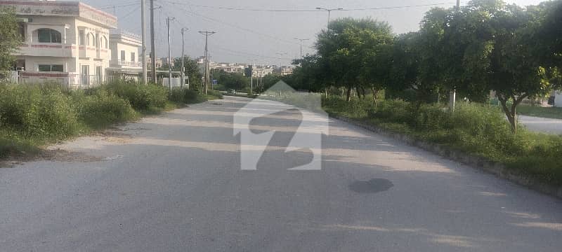 DOUBLE RD CORNER WITH EXTRA LAND DOUBLE RD CORNER WITH EXTRA LAND