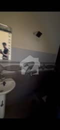 4 4