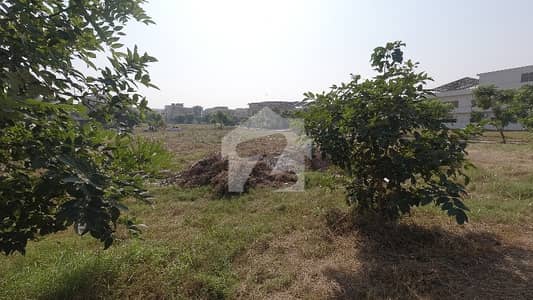 ڈی ایچ اے فیز 2 - سیکٹر ڈی ڈی ایچ اے ڈیفینس فیز 2,ڈی ایچ اے ڈیفینس,اسلام آباد میں 1 کنال رہائشی پلاٹ 4.15 کروڑ میں برائے فروخت۔ ڈی ایچ اے فیز 2 - سیکٹر ڈی ڈی ایچ اے ڈیفینس فیز 2,ڈی ایچ اے ڈیفینس,اسلام آباد میں 1 کنال رہائشی پلاٹ 4.15 کروڑ میں برائے فروخت۔