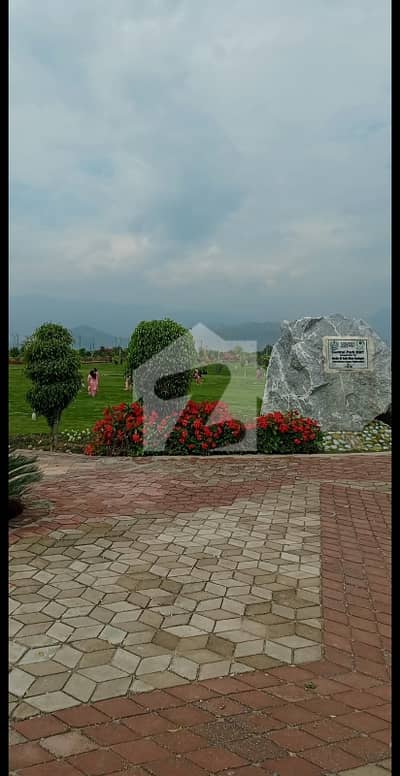 5 Marla South Open Plain Plot In Zone 3 At C-1 Sector Is Available For Sale