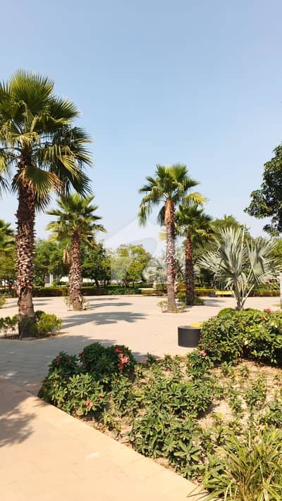 7 Marla Prime Location Plot For Sale On 60 Feet Road Dream Gardens Lahore