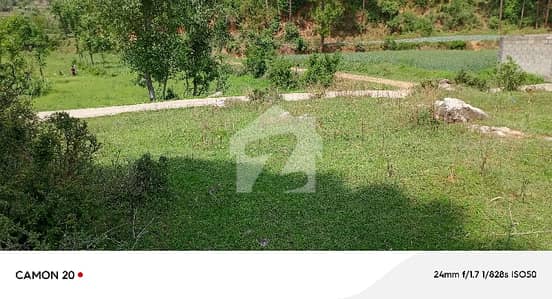 4 kanal plain land for sale at chitta mera mangal abbottabad
