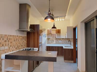 Brand New House for rent | 14 marla